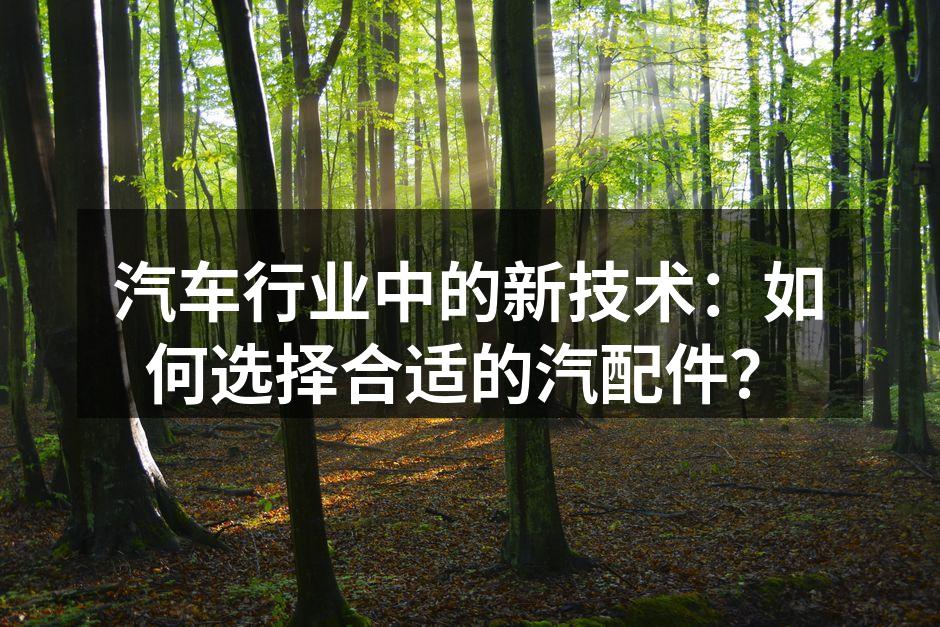 高品质汽配件保证汽车性能