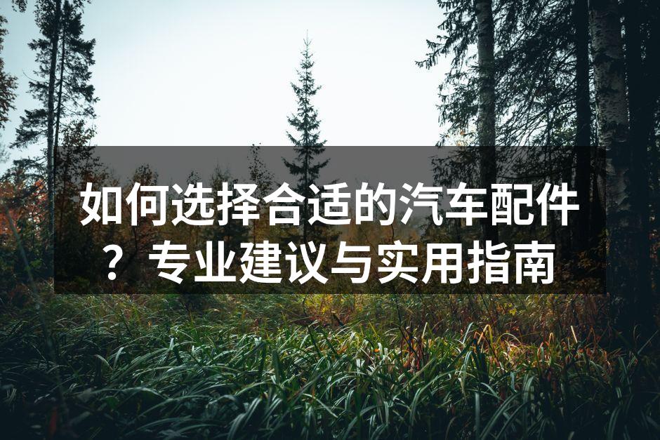 优质汽车配件展示