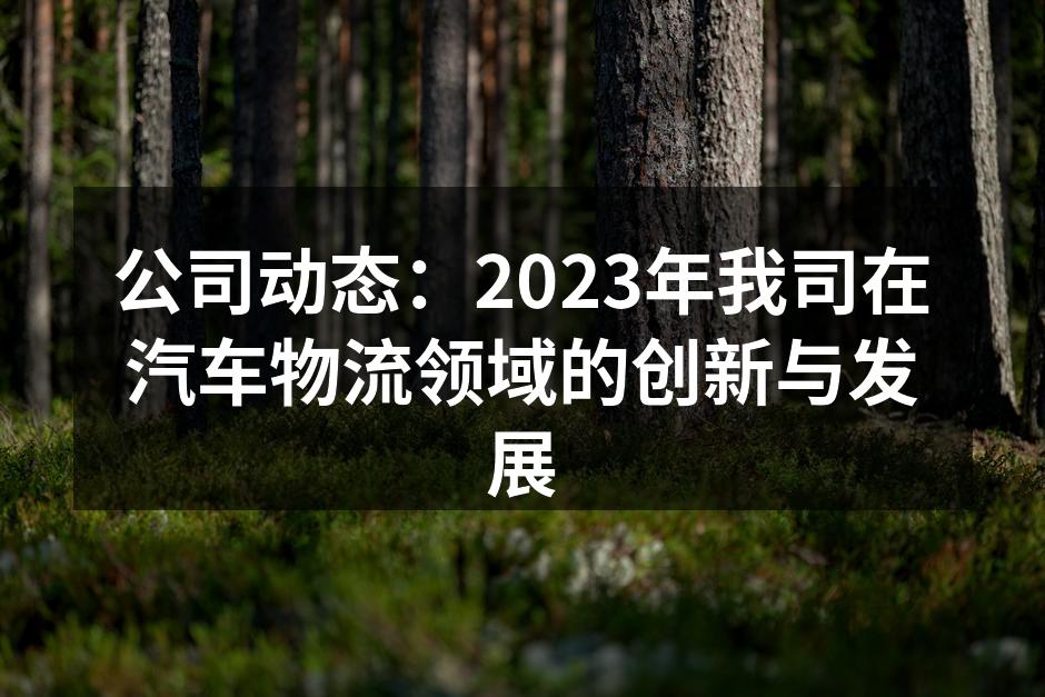 公司物流中心的现代化仓储设施